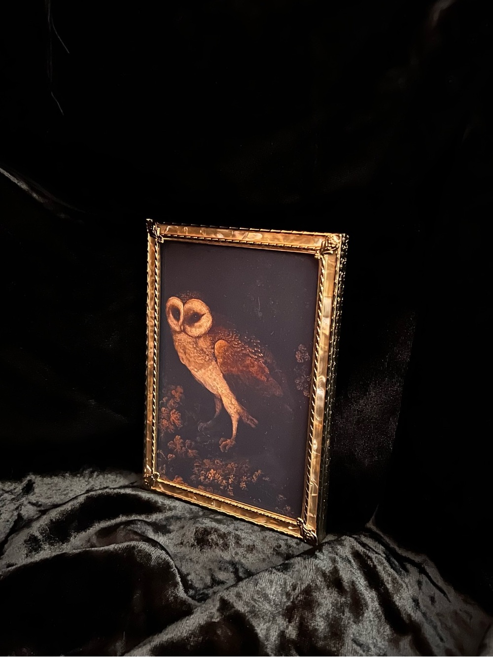 Gold Framed Owl Art Print